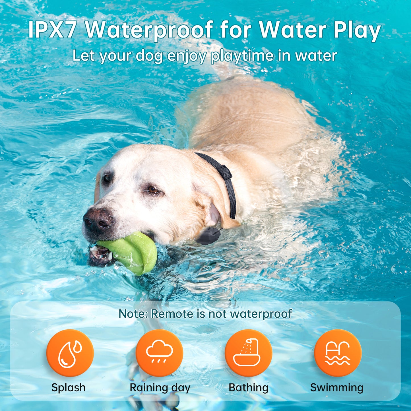 Vipsafe Dog Training Collar with Adjustable Settings and Remote Control – Safe & Effective Training Tool