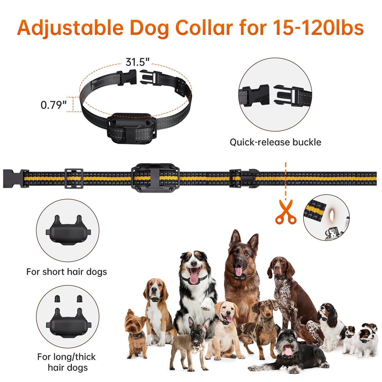 Vipsafe Dog Training Collar with Adjustable Settings and Remote Control – Safe & Effective Training Tool
